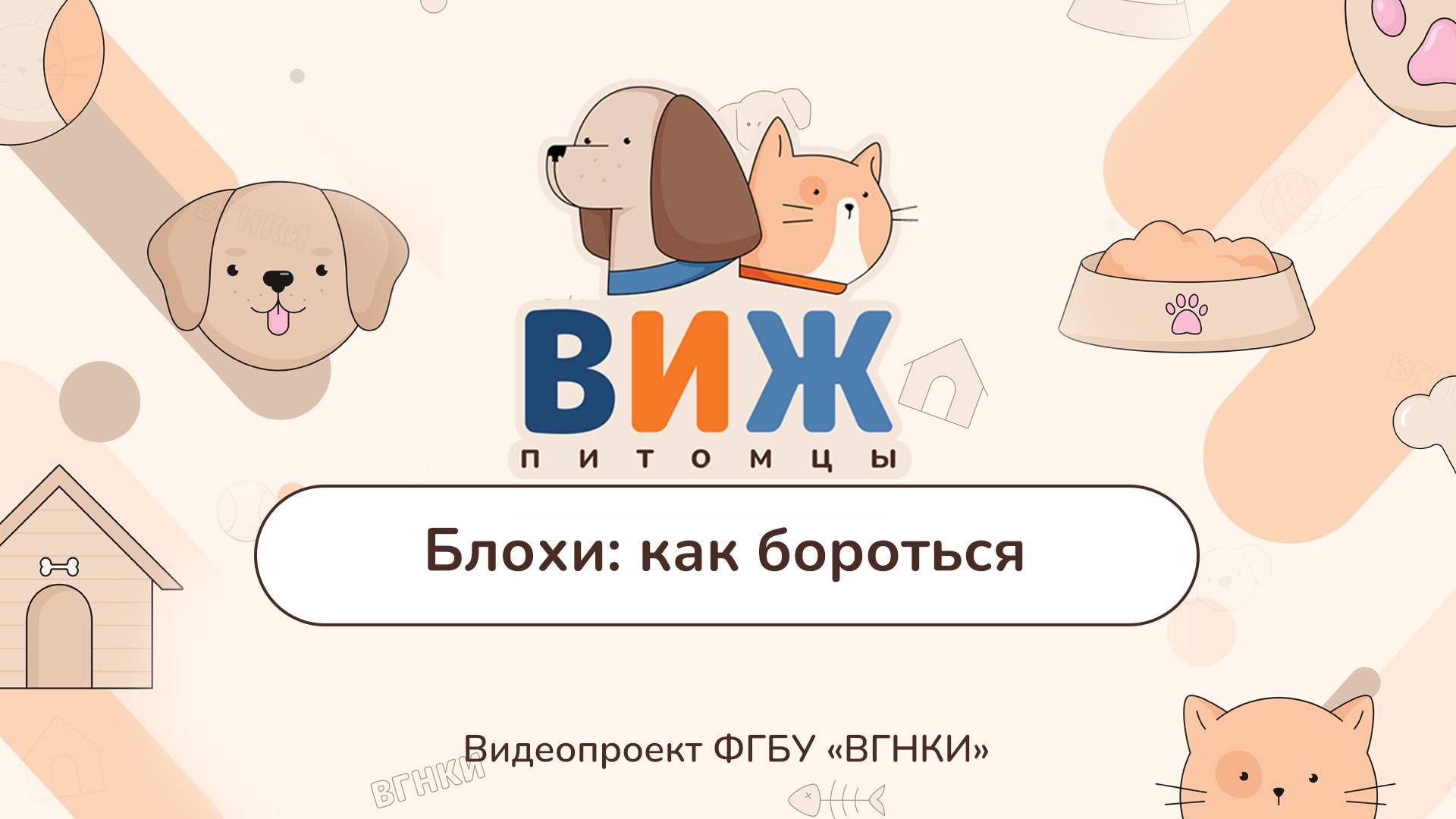 «ВИЖ Питомцы» - Блохи: как бороться