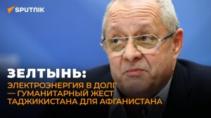 Эксперт о перспективах таджикско-афганских отношений и угрозах из горячей точки