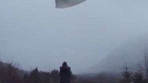 синий кит | музыка 2023