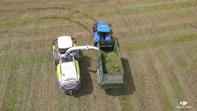 John Millman chopping 2nd cut