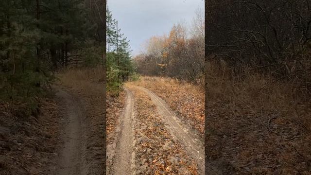 Охот в Волгоградской области и гуманность охотников