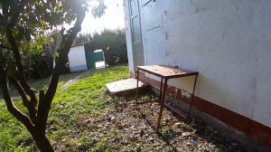 Продается большой дом у моря в с. Приморское, Абхазия. Выход - калитка прямо на море! Цена хорошая.