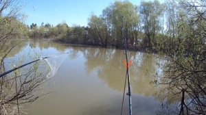 Рыбалка в Новосибирске на донку. Успешное открытие сезона! Spring fishing in Siberia