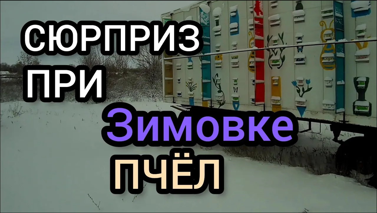 Такое не каждый пчеловод видел на своей пасеки во время зимовки пчёл. смотреть онлайн