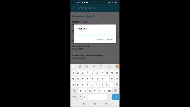 cómo configurar una vps a la aplicación http inyectó bien explicado смотреть онлайн