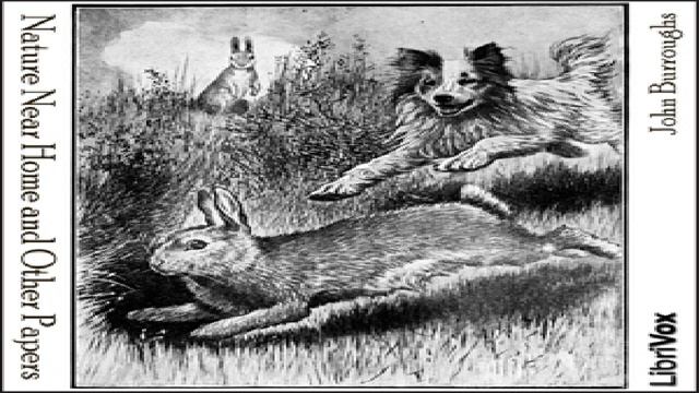 Nature Near Home and Other Papers  John Burroughs  Nature  Audiobook Full  English  12