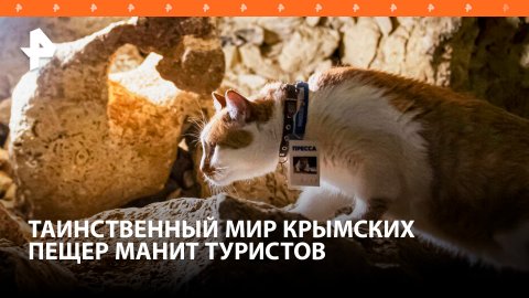 Подземный мир: как в Крыму проводят изучение пещер и открывают новые / РЕН Новости