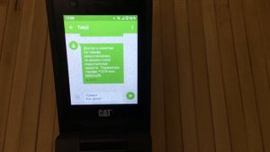RAZR на стероидах - 2. CAT S22 Flip: полное впечатление и опыт использования.