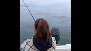 Весенняя ставрида