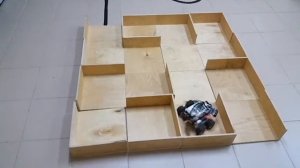 Лягушка путешественница