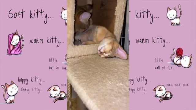 ГУЛЬНАРА ИСМАЕВА 💗 КОЛЫБЕЛЬНАЯ 💗 МАМИН РЕБЕНОК 💗 GULNARA ISMAEVA 💗 LULLABY 💗 SOFT KITTY 💗 WARM KITT смотреть онлайн