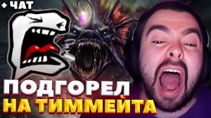 СТРЕЙ ЗАКУСИЛСЯ С АГРЕССИВНЫМ ТИМЕЙТОМ / СТРЕЙ ИГРАЕТ НА СЛАРДАРЕ / СТРЕЙ ОСУЖДАЕТ #stray228