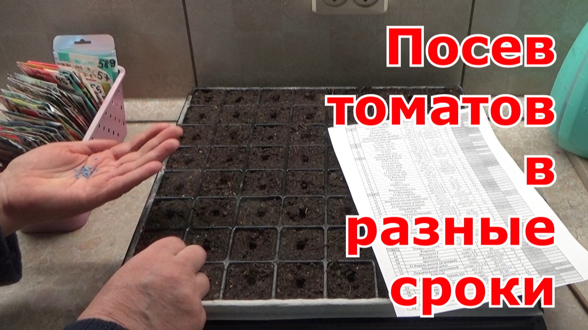 Посев томатов без пикировки с дальнейшей перевалкой. Сею томаты в разные сроки.