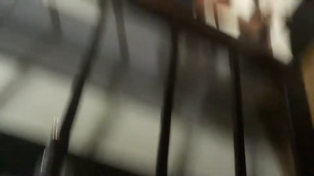 primeiro vídeo do canal смотреть онлайн