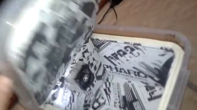 автохолодильник на элементе Пельтье. смотреть онлайн