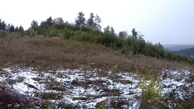 Чеснок - природный антибиотик. смотреть онлайн