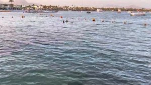 Лучший пляж Шарм-Эль-Шейха, бухта Наама Бей с песчаным входом в море и пантоном, Египет!