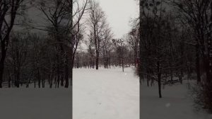 Что такое Бэкстейдж?  Примерно выглядит это так