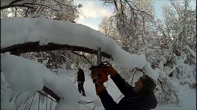 Скиталец'Slow Mo "Зимний лес" смотреть онлайн