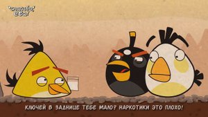 Angry Birds- Animated series. Episode 1
