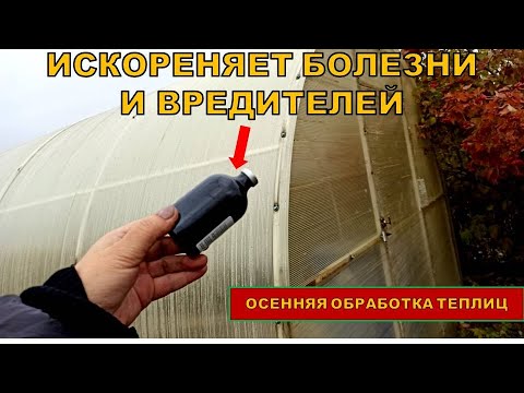 Такой осенней обработкой теплицы и почвы мы изведём патогенные микроорганизмы и вредителей.