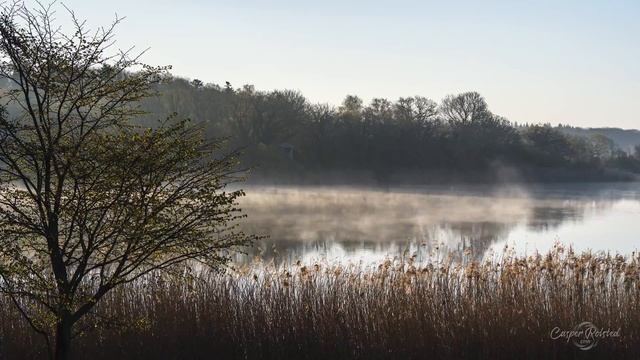Seasons of Denmark - Spring (a timelapse film from Skjoldungernes Land National Park on Zealand) смотреть онлайн