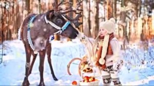 Лесной олень