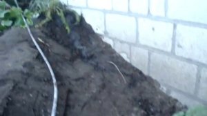 Пруд из старой ванны