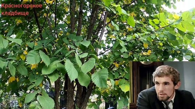 Красногорское кладбище. Известные захоронения смотреть онлайн