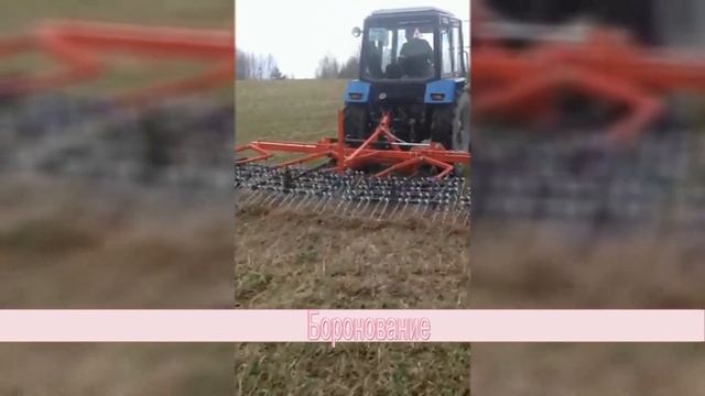 Боронование поля для аэрации почвы