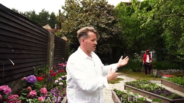 Идея преображения сада актрисы Елены Прокловой