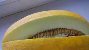 Если купили не доспевшую дыню