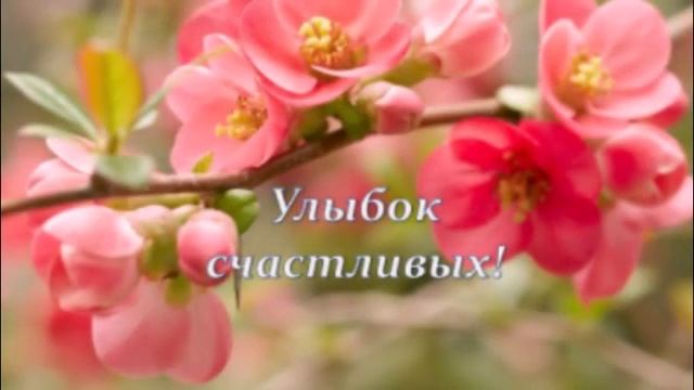 поздравить бухгалтера с днем рождения