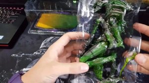 Распаковка коллекционной фигруки чужого neca . Unboxing mantis alien , aliexpress