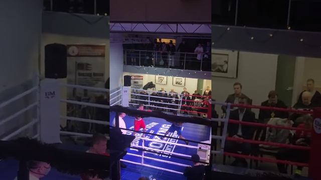 международник против мастера спорта,сегодня,только что смотреть онлайн