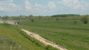 Скачки Александров Гай