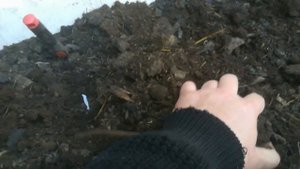 Деструктор и Быстрый компост.