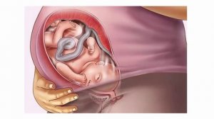 40 Сороковая неделя беременности