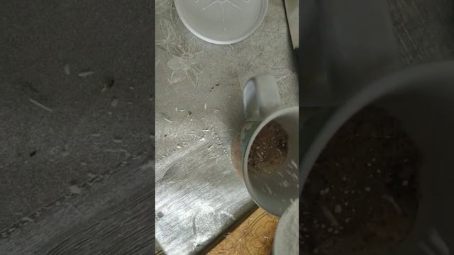 Зелье поноса смотреть онлайн