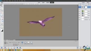 How to Use Layers in Photoshop Elements 13 - Part 4 - Adjustment Layers