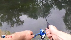 Охота на пеструшку  продолжается. ловля форели . Дикая форель .