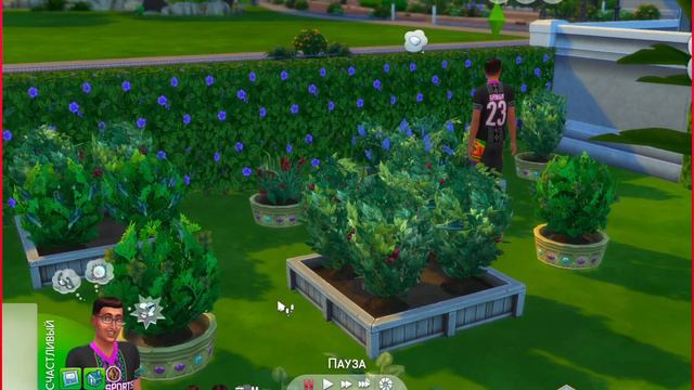 The Sims 4 Мой огород