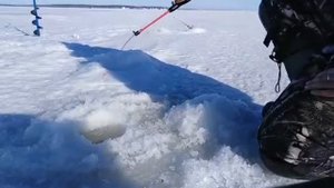 Проводка на берша