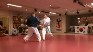 ITF Taekwondo blue belt exam Demonstration Fight