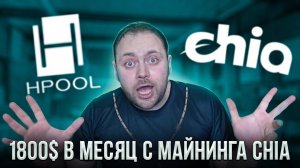 1800$ в месяц с майнинга Chia | Вывожу с Hpool и продаю на Бирже