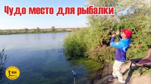 Лучшее место для рыбалки на карася.