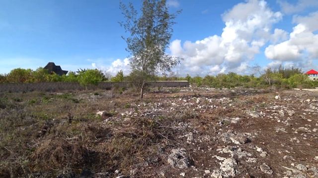 SOLD 002 Land plot 600 sqr.m. for sell 380m from the Beach. Muyuni Zanzibar смотреть онлайн