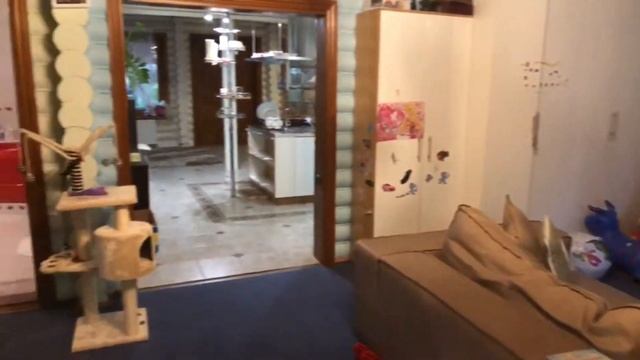 Грибово Клаб ДОМ за 1.5 млн $ смотреть онлайн