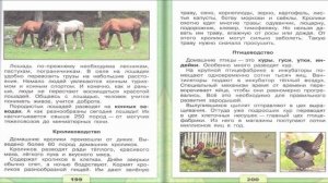 Животноводство в нашем крае. Окружающий мир. 4 класс, 1 часть. Учебник А. Плешаков стр. 195-203