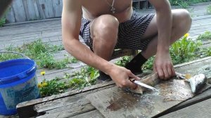 Разделка щуки для копчения